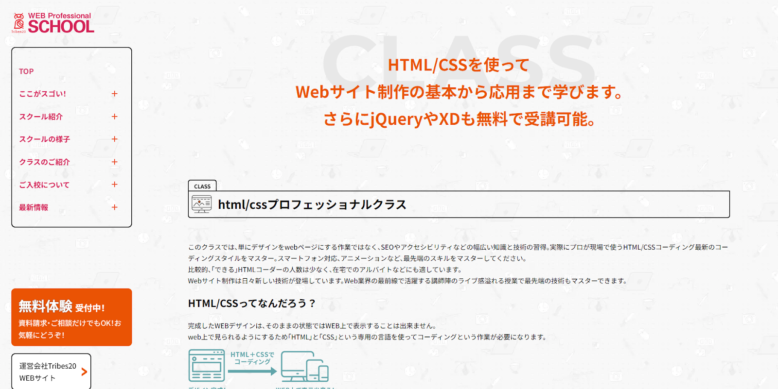 Tribes20 Web Professional School